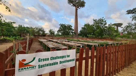 Practical guide adopted to combat deforestation in Madagascar