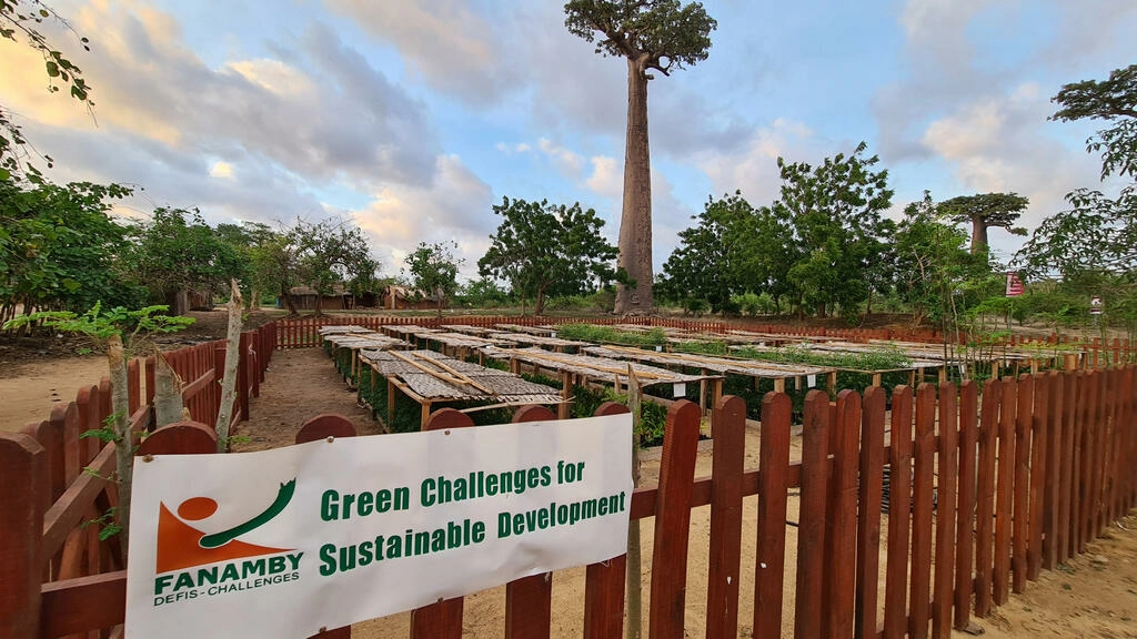 Un guide pratique adopté pour lutter contre la déforestation à Madagascar