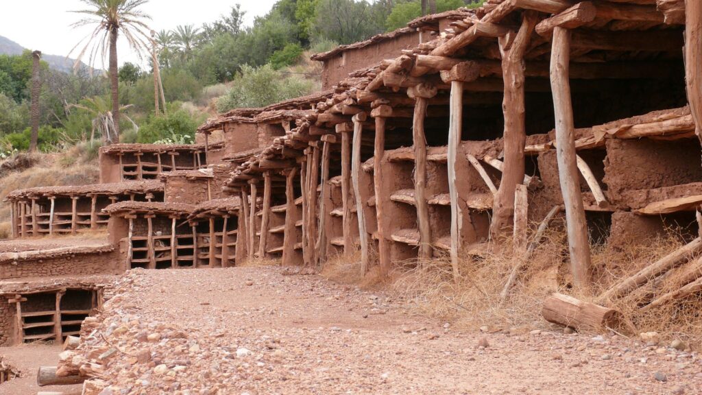 Apiculture au Maroc : Le secteur en difficulté d’essor
