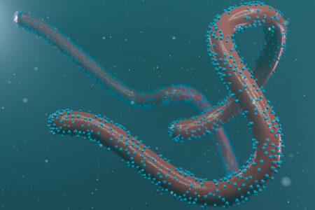 Ghana: Two confirmed cases of Marburg haemorrhagic fever, an Ebola-like disease. Ghana has recorded two confirmed cases of the Marburg virus, a virus that is nearly fatal like Ebola. The country has been on alert since early July.