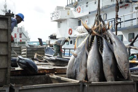 Le gouvernement ivoirien mise sur l'industrie halieutique pour booster son économie et assurer son autosuffisance alimentaire. C'est à travers le projet PSTACI qui va durer cinq ans et est renouvelable.