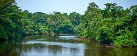 African Climate Week starts today in Gabon