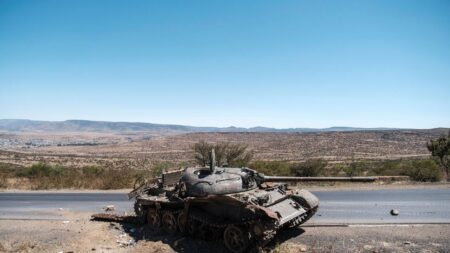 Les conflits ont repris en Ethiopie entre forces armées fédérales et rebelles du Tigré