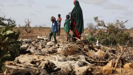 La Somalie est au bord de la famine