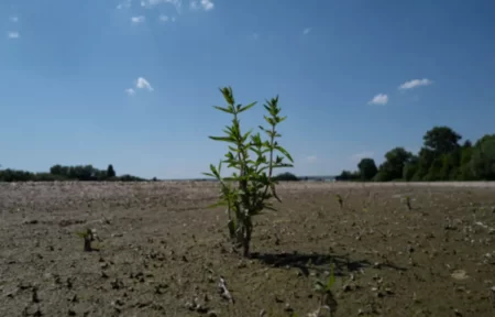 "Défier l'injustice en période de transition". C’est le message porté par la société civile africaine ce mardi 4 octobre 2022 lors de la réunion ministérielle précédant la COP27 qui se tient à Kinshasa, en République Démocratique du Congo. A travers un point de presse, plusieurs organisations de la société civile africaine, ont appelé les gouvernements africains, l'Union africaine et le Groupe africain de négociateurs à agir dans l'intérêt de l'Afrique et à faire pression pour de "vraies" solutions à la crise climatique afin de protéger les peuples d'Afrique et la planète.