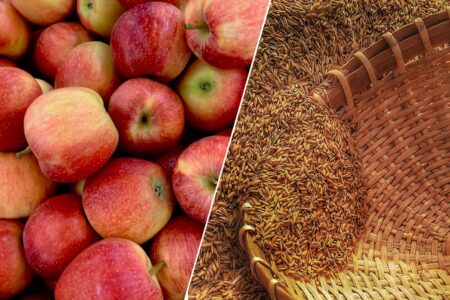 cidre à base de pomme