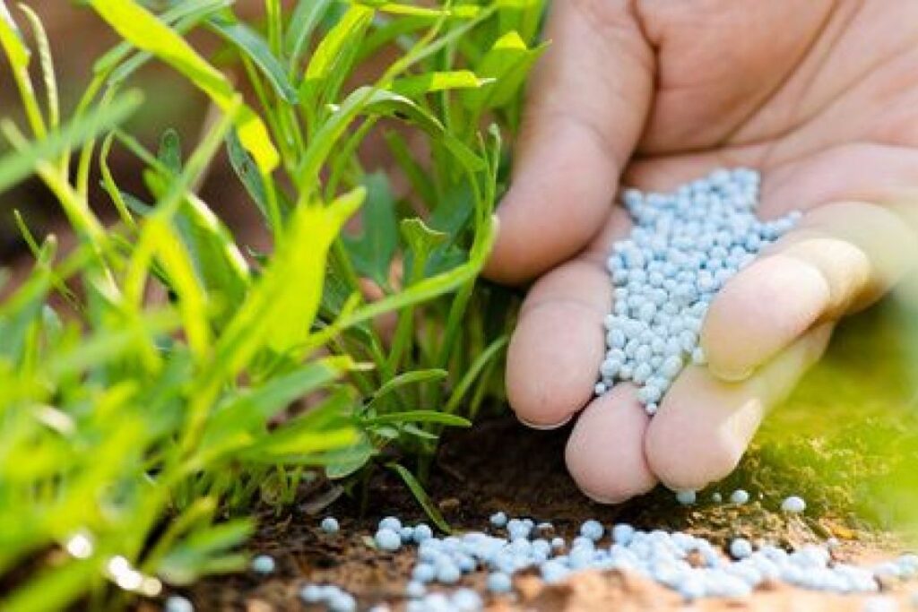 Tanzania looks to Morocco to set up fertiliser plant