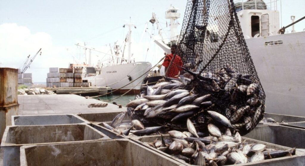 EU rejects Cameroonian fish