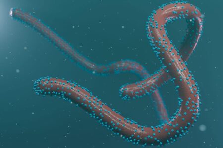 The Marburg Virus has killed nine people in Equatorial Guinea.
