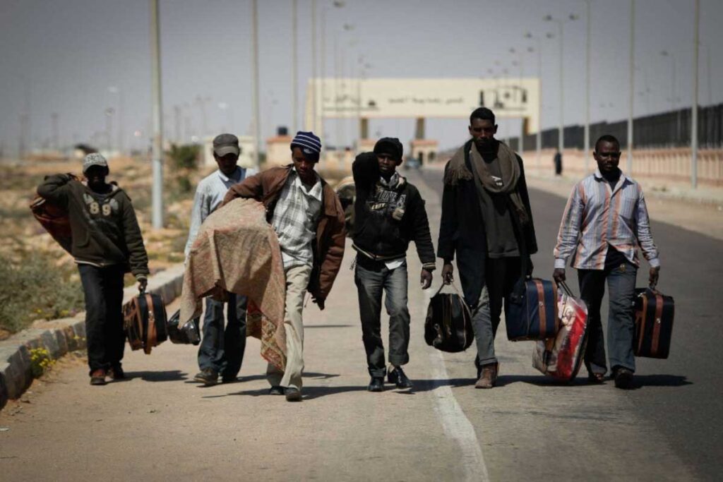 African governments repatriate their nationals to Tunisia