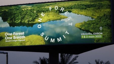 One Forest Summit opens in Gabon